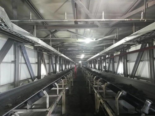 洗選廠月度洗選產(chǎn)量創(chuàng)新高，個人衛(wèi)生用品銷售市場全面開花