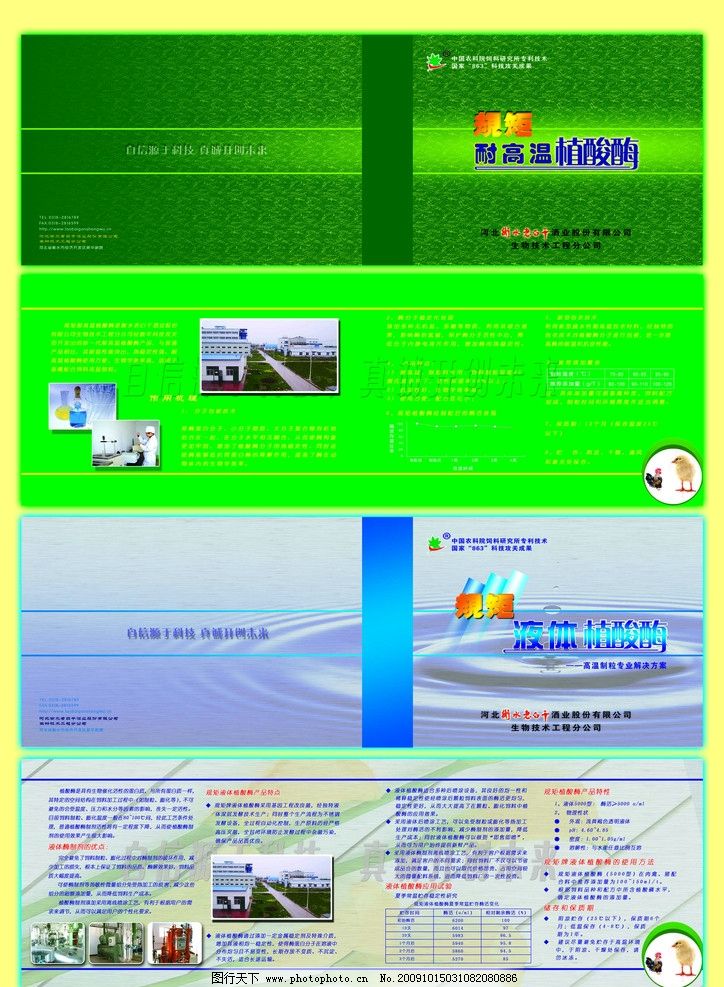 【設計攻略】植酸梅產品冊子與廣告設計全解析